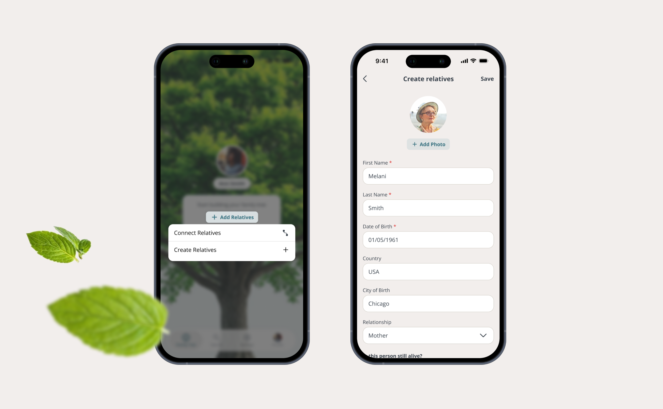 Profile Creation Mockup